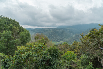 Beautiful view over the jungle at Salento in Colombia.