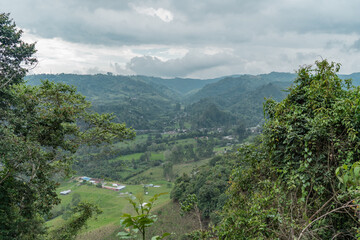 Obraz premium Beautiful views over nature and landscape in the greenish jungle.