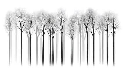Abstract vector design of trees in gray tones on a white background, a simple vector illustration of a forest with tall trees.