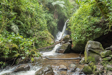 Little Waterfalls The Jungle Colombia