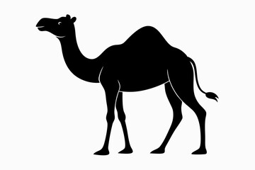 Camel Silhouette, Camel Isolated On White Background. Camel on black and white vector design