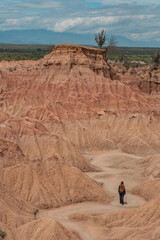 ochre canyons of the tatacoa desert on a sunny day with partial clouds