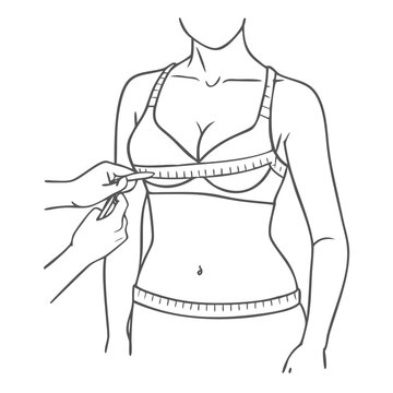 Shirt clip art preview