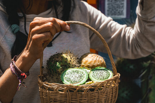 Traditional basket filled with Copao fruit captured in the charming village of Yanque in southern Peru