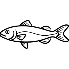 fish on a white background