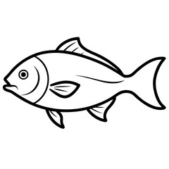 fish illustration