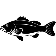 fish isolated on white background