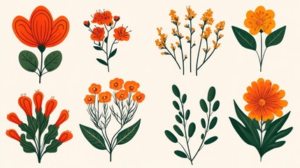 Vibrant Orange And Yellow Floral Designs Simple Botanical Illustrations