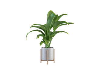 Green Plant Pot on White Background 3D Render