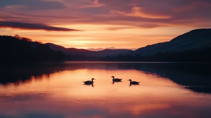 Fototapeta premium Serene Lake at Sunset with Three Ducks Silhouetted in the Water