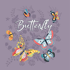 colorful butterfly vector art design