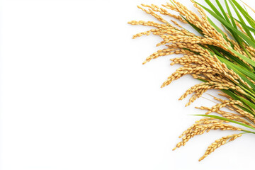 Golden rice grains with green leaves arranged on white background, showcasing nature beauty and agricultural bounty