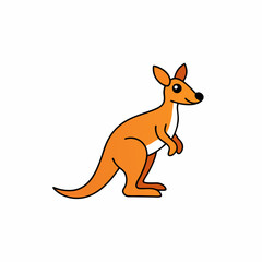 kangaroo