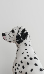 Profile View of Dalmatian Dog Against White Background