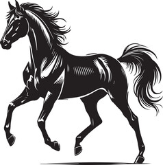 Horse silhouette isolated on white