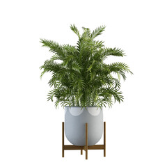 Green Plant Pot on White Background 3D Render