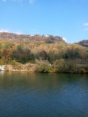 The tree-lined shore of the river.