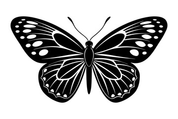 Black and white butterfly silhouette