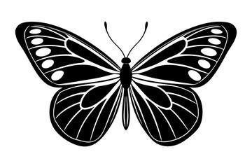 Butterfly black and white silhouette on a white background