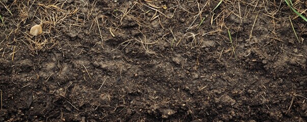 A close-up view of dark, rich soil mixed with dry grass and organic matter, showcasing texture and natural decay.
