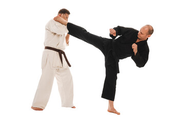 Karate sparring
