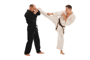 Karate sparring