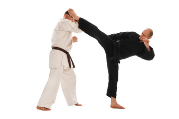 Karate sparring