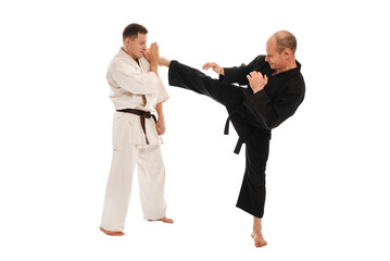 Karate sparring