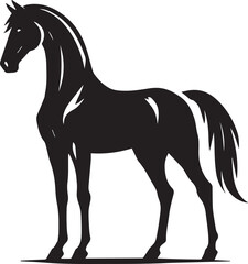 Horse silhouette isolated on white