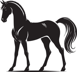 Horse silhouette isolated on white