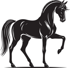 Horse silhouette isolated on white