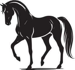 Horse silhouette isolated on white