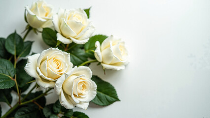 Elegant White Roses on Ethereal Background: Perfect for Wedding Invitations, Skincare Ads, and Romantic Branding