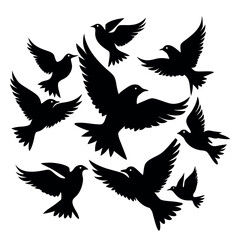 black bird white background