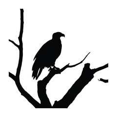 Bald eagle silhouette vector illustrations