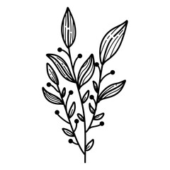 hand drawn floral