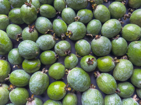 fresh green feijoa fruits on the table