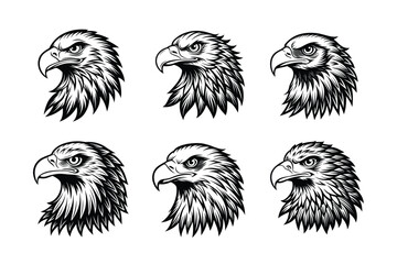 set of eagle head