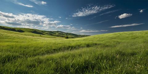 Obraz premium A vibrant green meadow stretches towards a boundless blue sky, dotted with fluffy white clouds