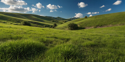 Naklejka premium A vibrant green meadow stretches towards a boundless blue sky, dotted with fluffy white clouds