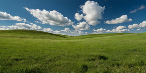 Obraz premium A vibrant green meadow stretches towards a boundless blue sky, dotted with fluffy white clouds