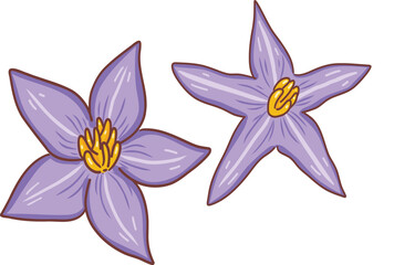 Naklejka premium Eggplant flowers or dok ma kue for Teacher respect day 