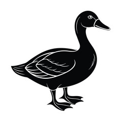 Cute duck silhouette vector and illustration Design