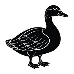 Cute duck silhouette vector and illustration Design