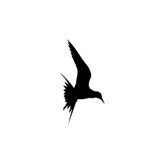 Suitable for art projects and graphic design. Flying birds logo design