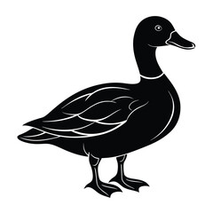 Cute duck silhouette vector and illustration Design