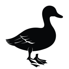 Cute duck silhouette vector and illustration Design
