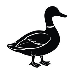 Beautiful silhouette of duck vector illustration Design