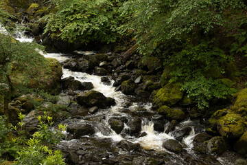 Obraz premium River flowing through woodland in Lake District