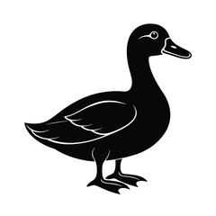 Beautiful silhouette of duck vector illustration Design
